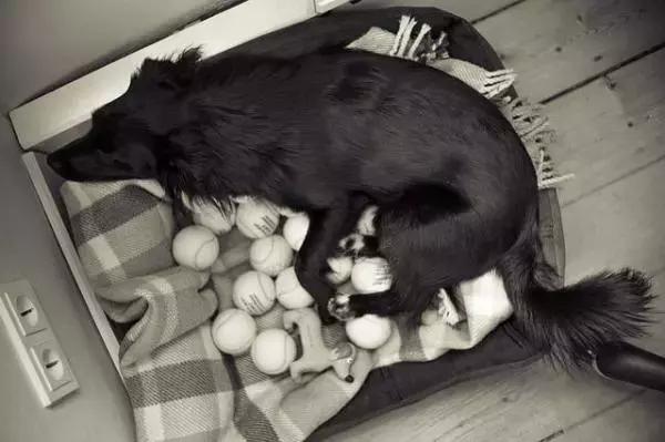 摸一摸就能怀孕？这真的不是都市传说