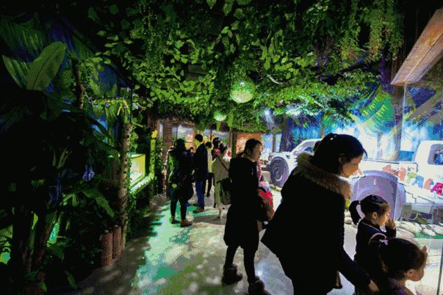 合肥动物园值得看的地方,合肥最好玩的动物园是哪