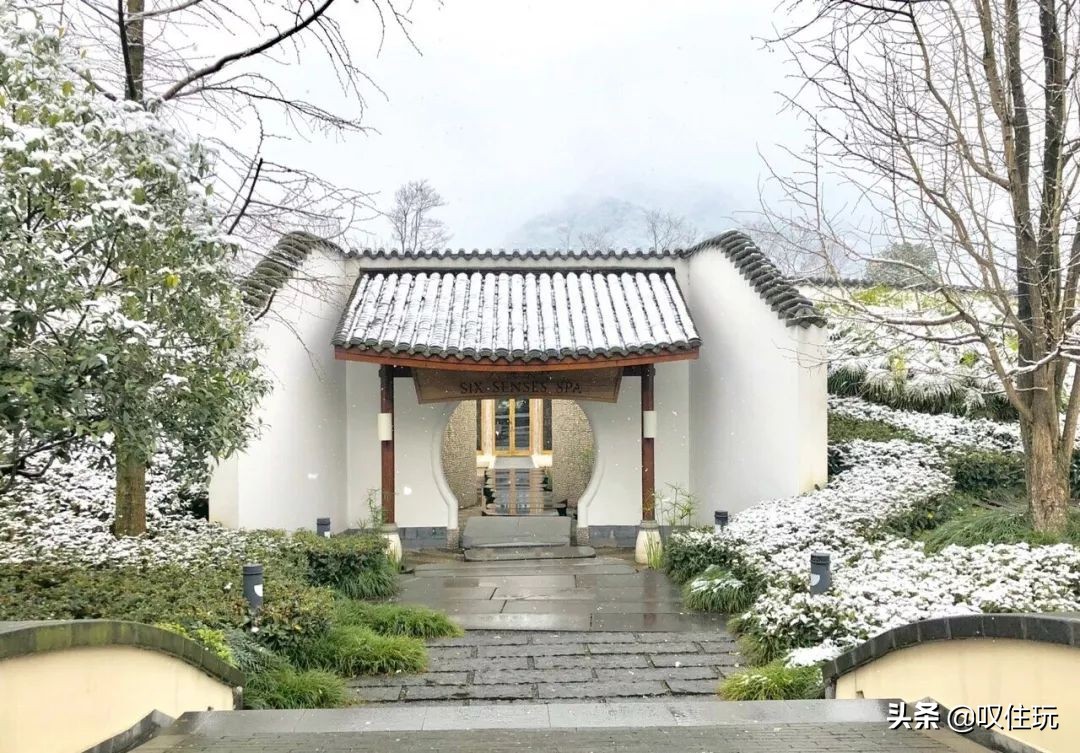 青城山六善酒店是哪个酒店旗下,青城山六善酒店禅意