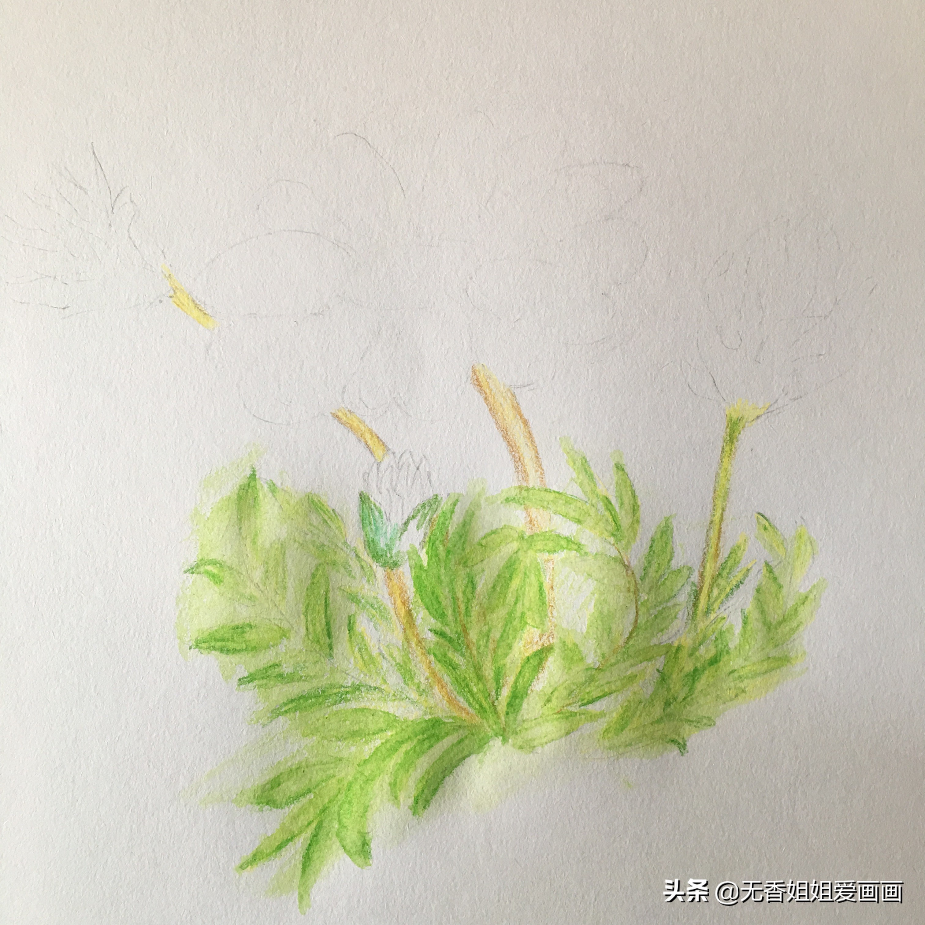 会画画真的是很开心的事情,会画画就要什么都画