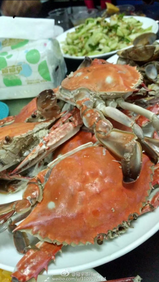 长岛美景的回忆,长岛记忆