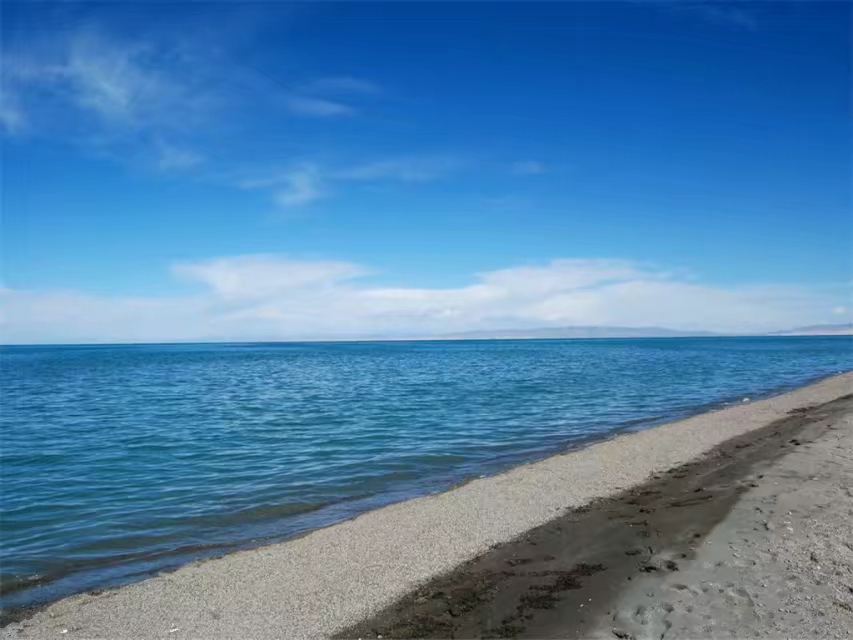 重温刀郎西海情歌,盘点刀郎西海情歌