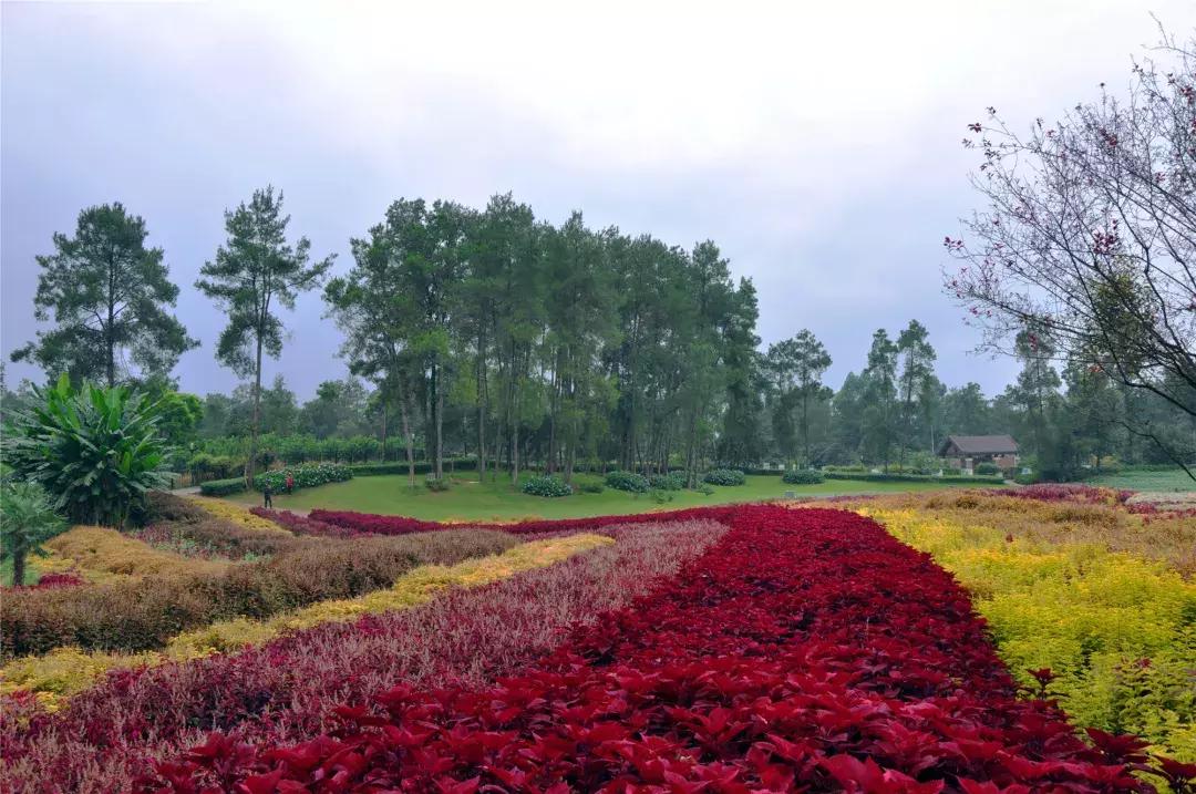中秋优惠团购景区,团购石象湖门票