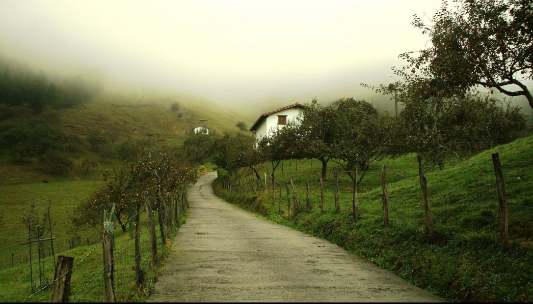 countryside 国家 (country是乡下的意思吗)