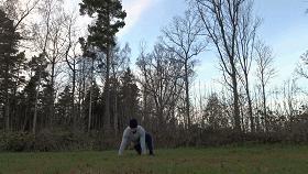 中央电视台才貌双全的美女主持人,新晋央视女主持