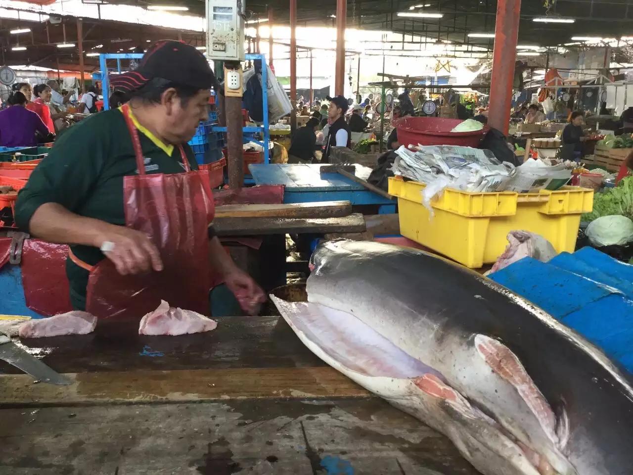 带你去南美巴西篇,秘鲁海鲜有哪些