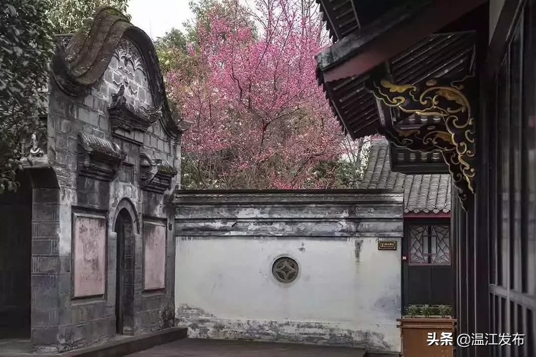 2024温江即将动工的大项目明细,干大事