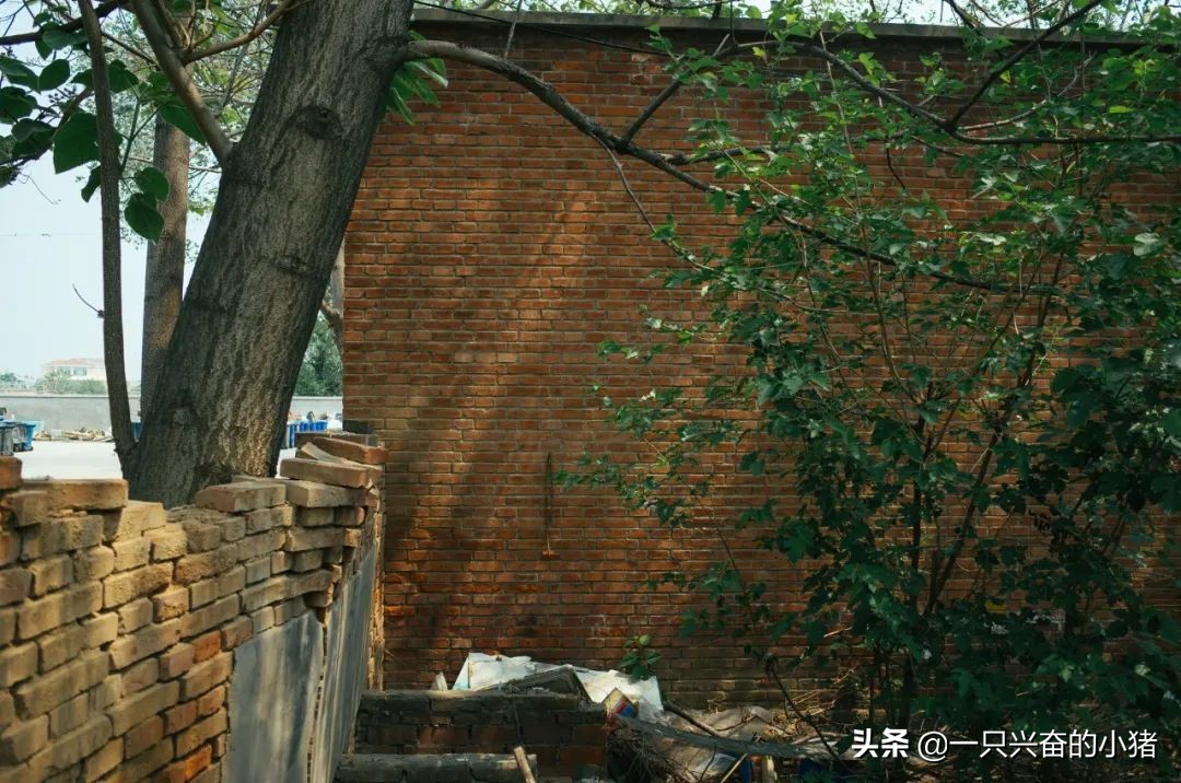 做短视频vlog需要的工具,拍vlog的脚本需要每天写吗