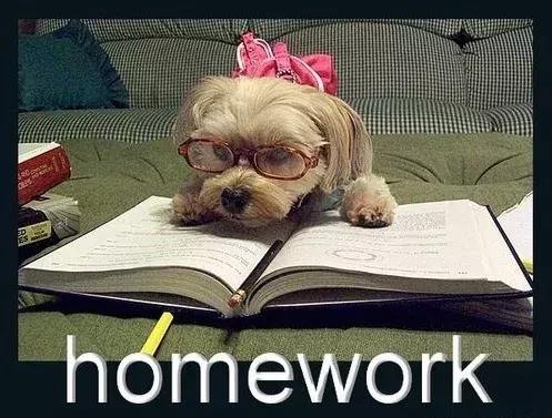 美国留学生黑五购物,中国留学生黑得最惨的英国大学