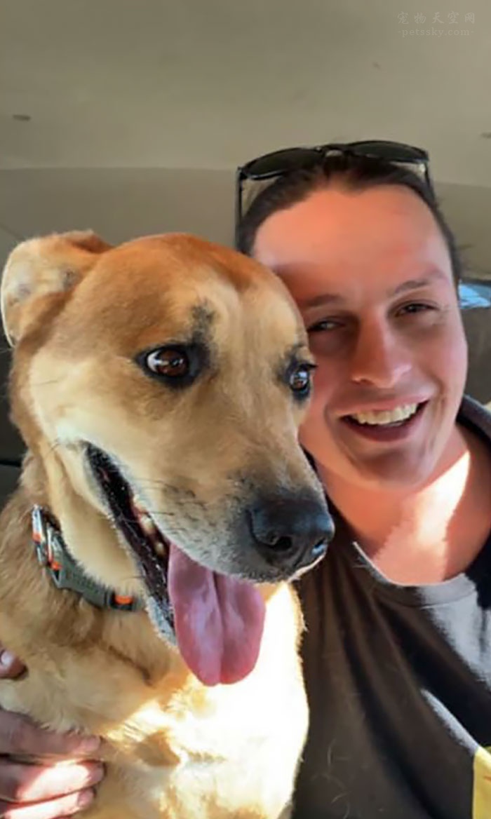 狗狗被救助很开心,狗狗被放在笼子里救助