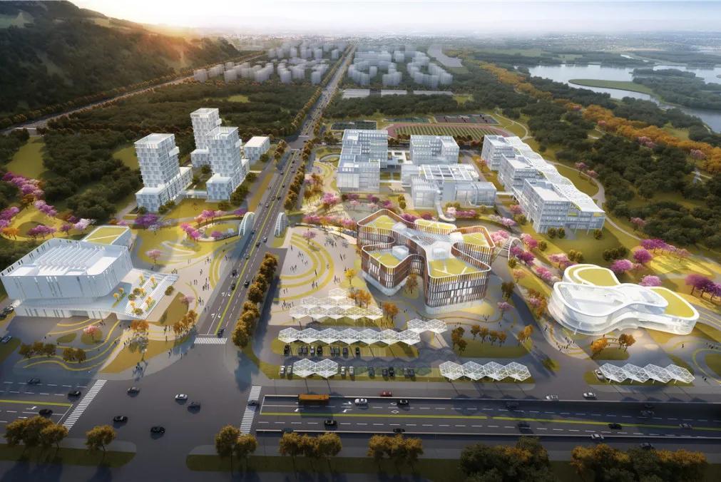 同学你好优秀,同学你好原版视频