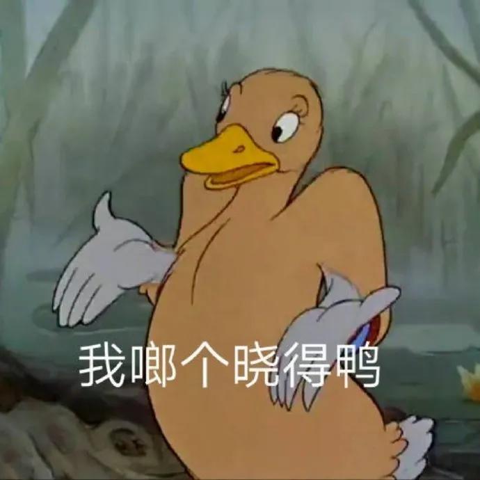 用到铁皮都不舍得丢的粉饼,好用便宜的粉饼和睫毛打底