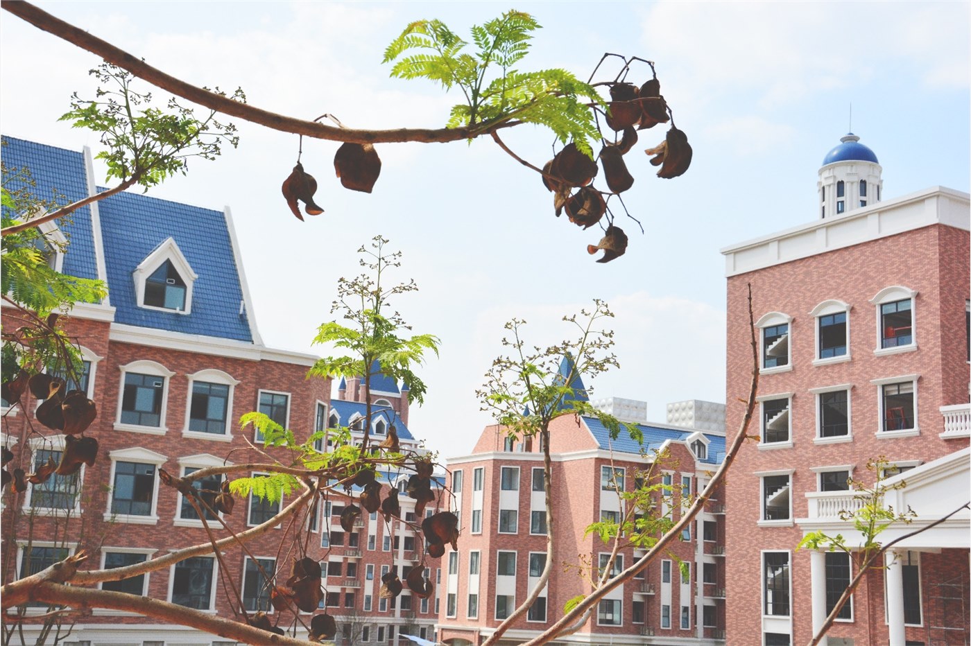 2020年成都小升初民办学校,成都小升初公办民办