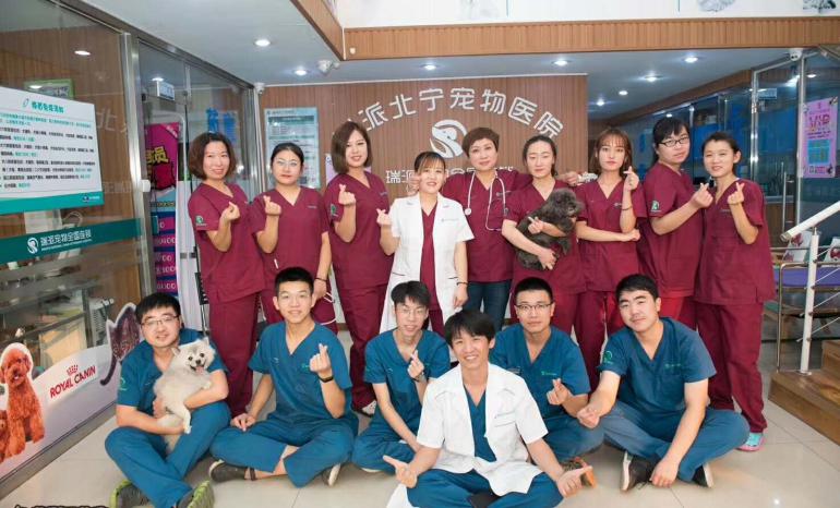 漳州瑞派宠物医院冠城分院,深圳瑞派宠物医院靠谱吗