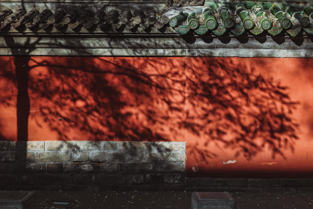 eosm6鐢昏川,eosm6鏍峰紶