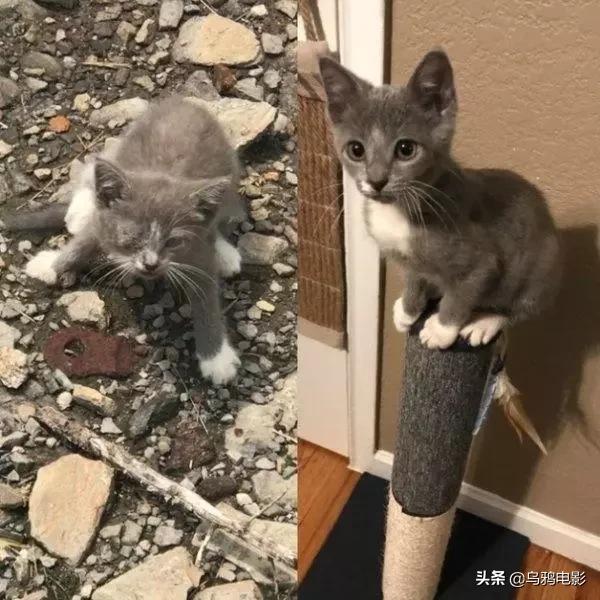 b站必看的综艺,b站能看的综艺推荐