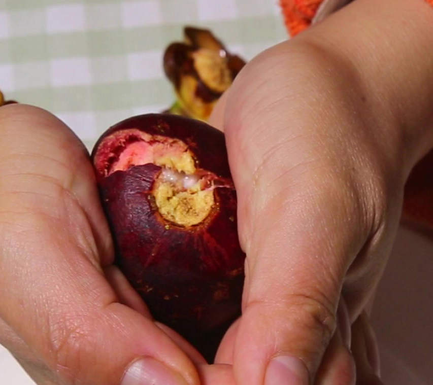 山竹怎么挑选才好吃又甜,挑选好又甜的山竹方法介绍