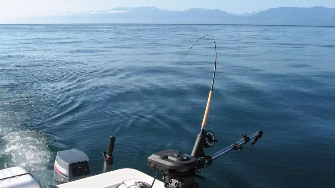 温哥华,超出你期待的钓鱼圣地