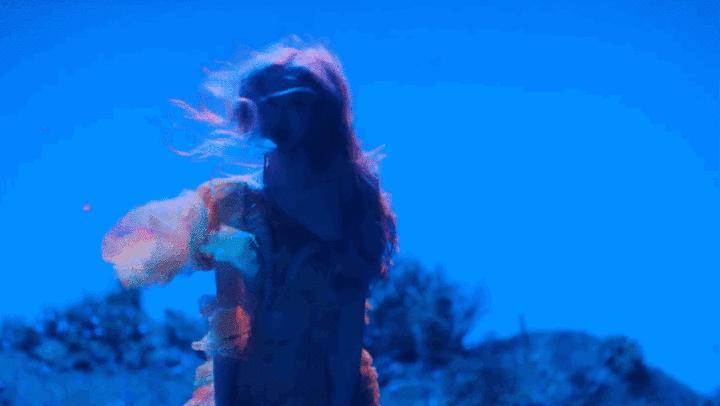 澳洲野玫瑰穿仙女裙 (澳洲野玫瑰日常生活)