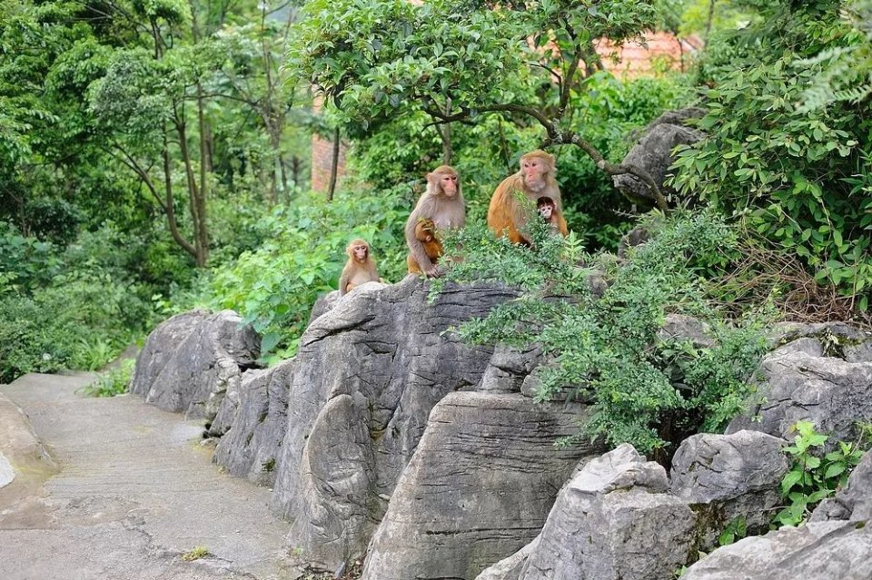 重庆避暑安静凉快推荐,重庆下雨天必去的地方