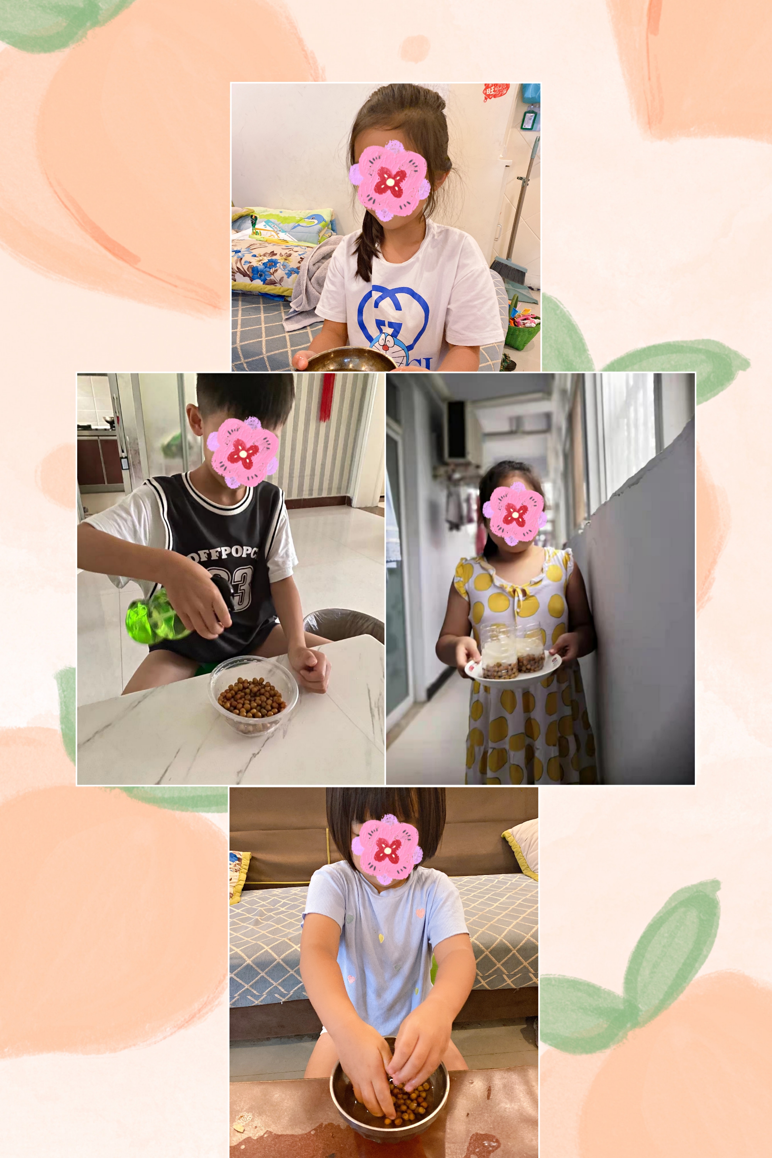 一米长水培豌豆苗,鲜活豌豆苗水培