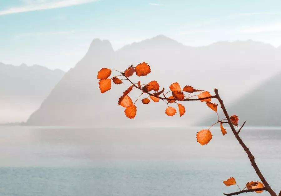 成杰聪明与智慧,成杰智慧分享