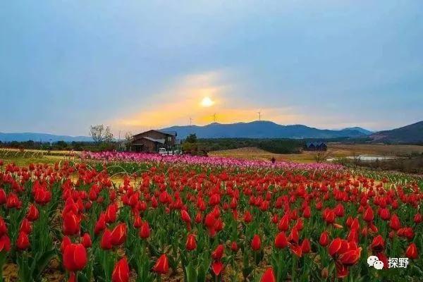 安徽自驾游十大必去景点,安徽自驾游最佳旅游路线推荐