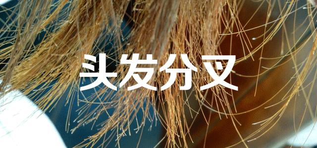 清爽头皮不掉发洗发露,洗发露去屑止痒留香持久干头发