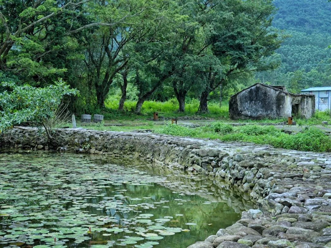 吴彦祖拍的劲爆电影,吴彦祖最新片
