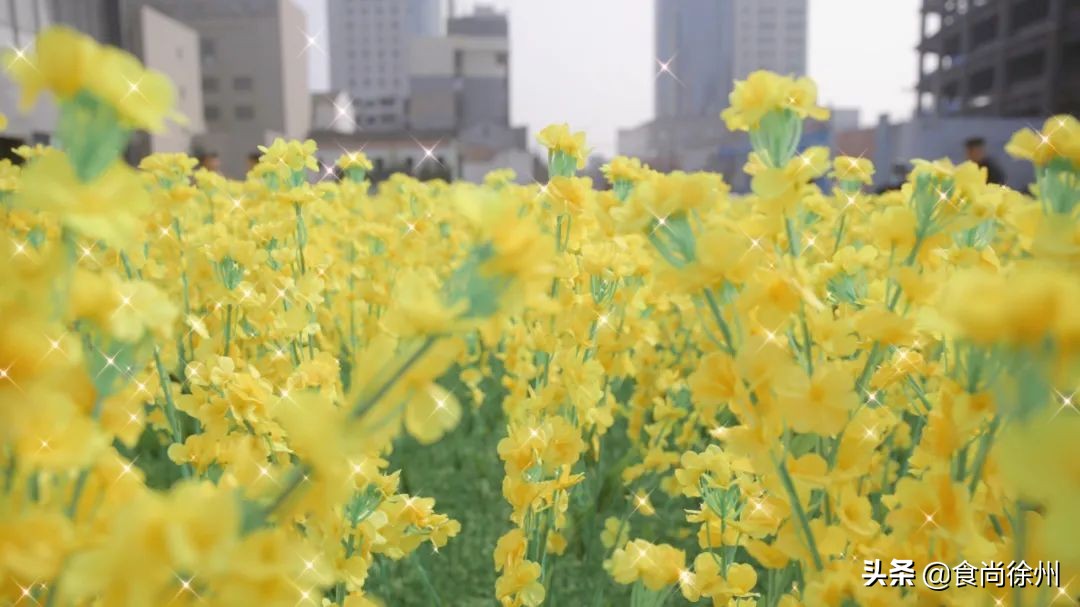 改造5个徐州素人!职场精英、sexy女孩、韩剧男主C位出道