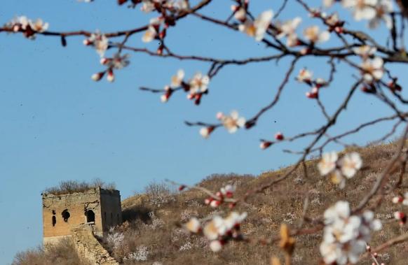 又是一年春光好完整版,又是一年春光好文明旅游