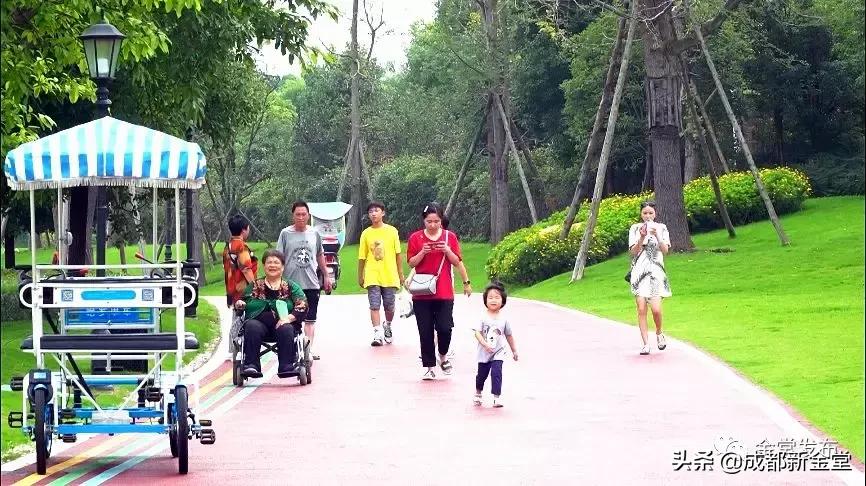 金堂人，你身边这条街已入选成都“最美街道”！