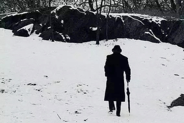 木心评价作家,中国当代文学大师木心