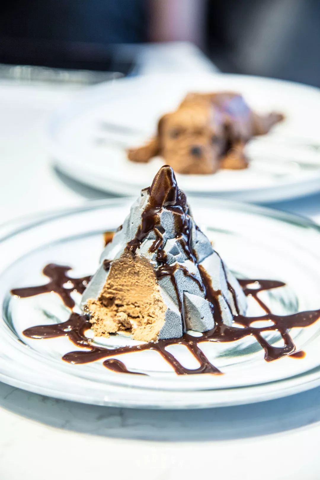 2019宠物排名,2022宠物排行榜