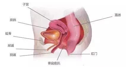 3.8女神节，活出漂亮的自己，内附三种你没试过的减肥法！