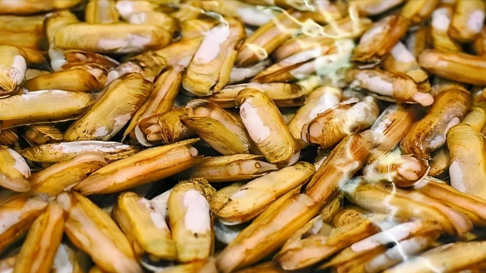 辽宁省内的葫芦岛市简介,辽宁省葫芦岛市各区