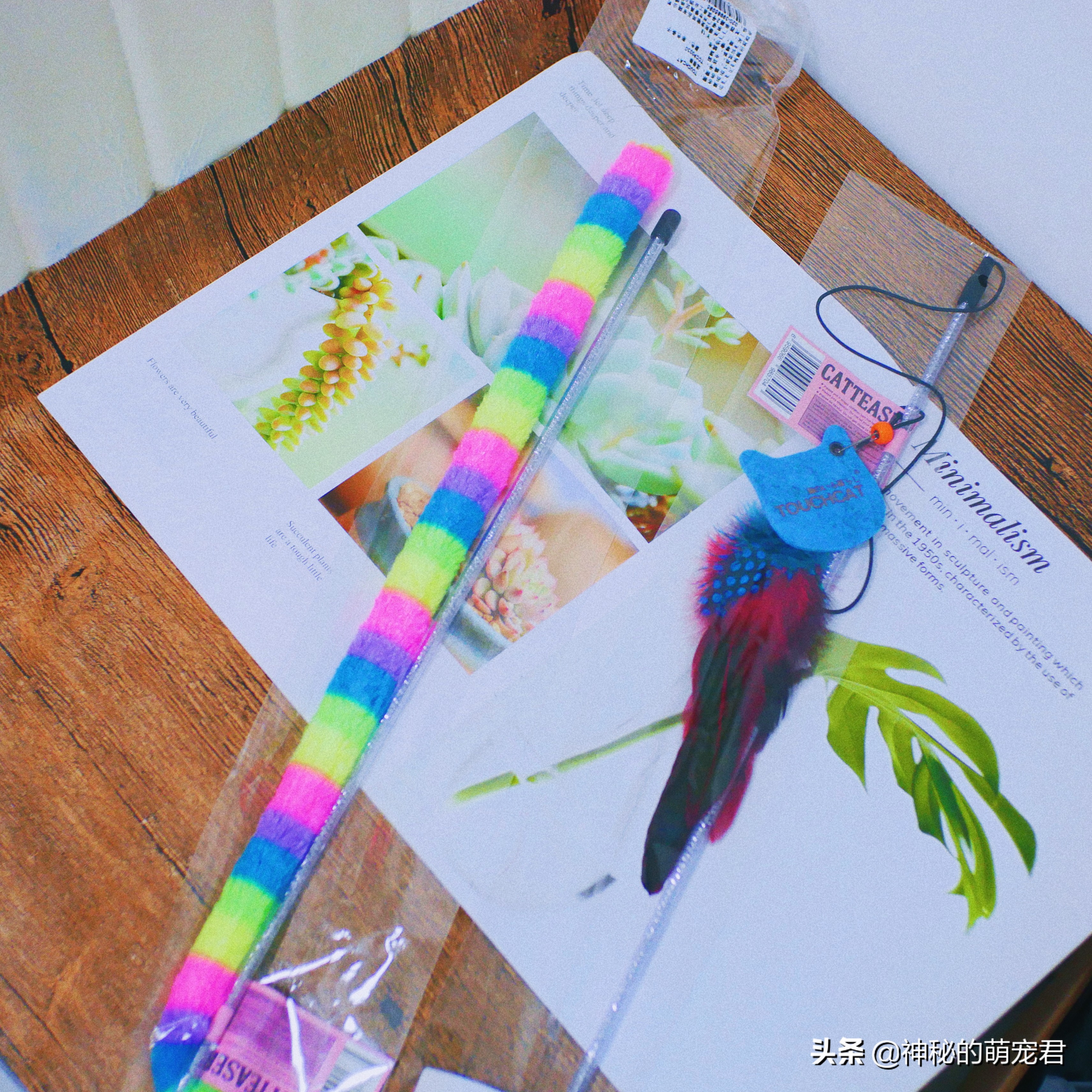 什么逗猫棒猫咪会玩,怎么做猫咪玩的逗猫棒