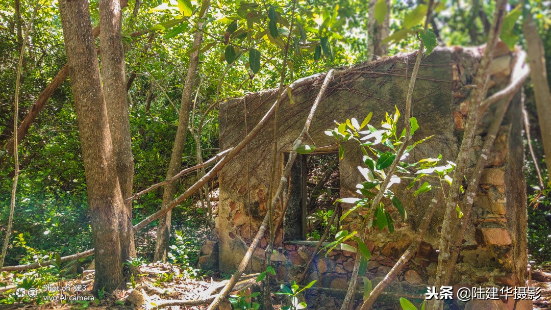 塞舌尔克里奥尔人,人间伊甸园云赏奢华度假地塞舌尔