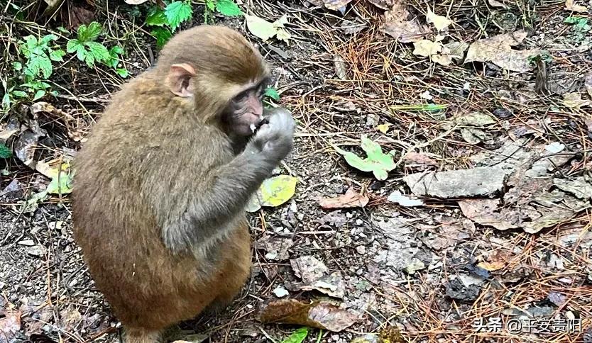 越来越嚣张了怎么办,越来越嚣张怎么解决