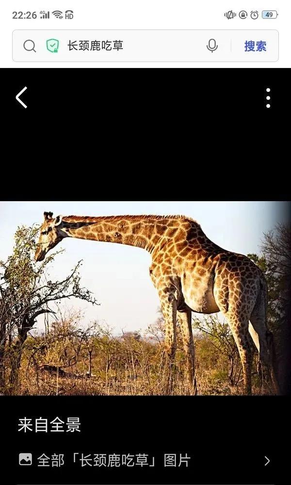 千万别把什么都发到抖音哈哈哈哈哈哈哈哈