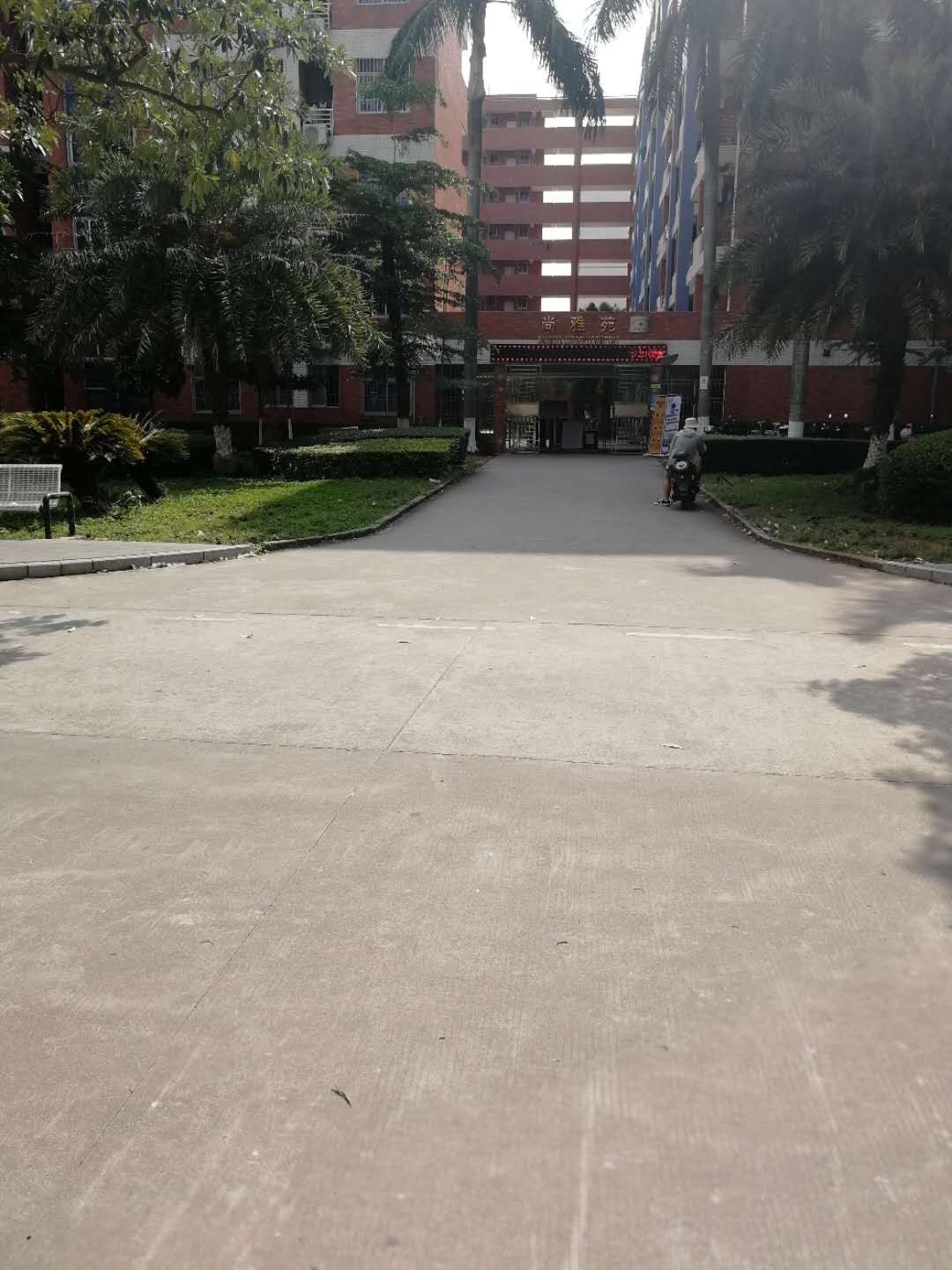 岭南师范学院分数线,岭南师范学院专业组