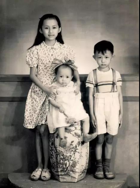 郑明明荣誉,郑明明拿奖