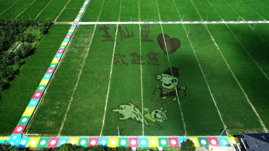 钱塘江出现巨幅画作,钱塘江大潮图片绘画