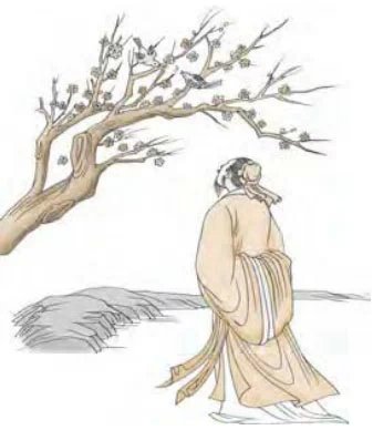 古梅花易数与现代梅花易数的区别,梅花易数的数从何而来