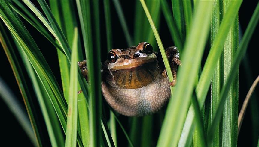 小学语文知识大集结练习十一,小学语文基础知识的练习册