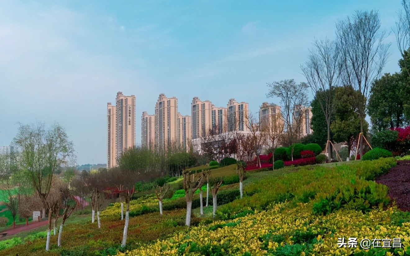 牛!这样的伍家岗,你怎能不爱