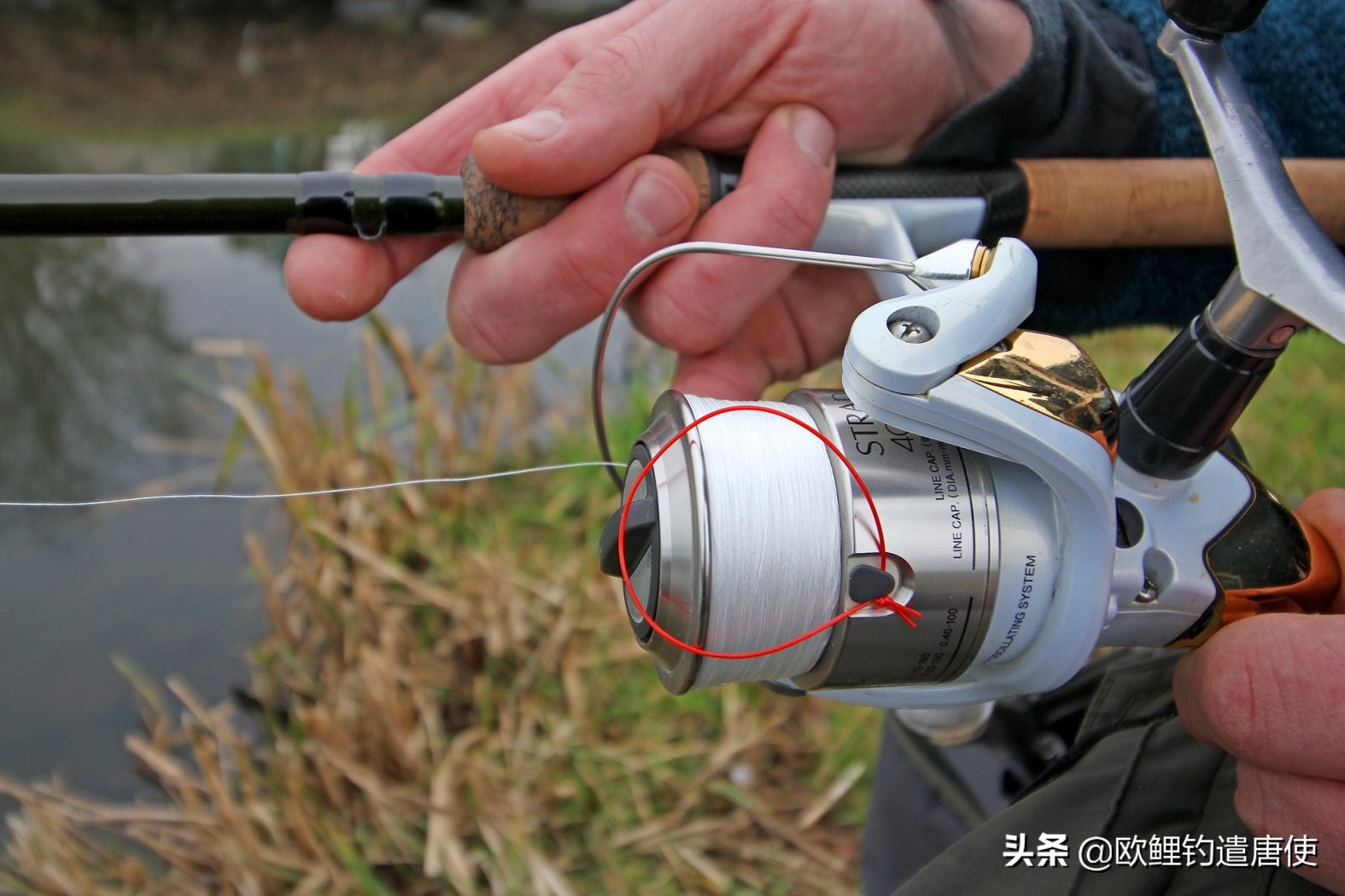 欧鲤钓鱼抛投技巧视频,话说欧鲤钓之抛投篇