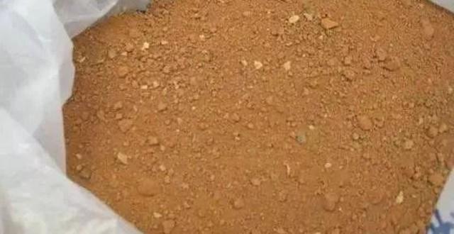 小苔藓最佳治疗方法,小型苔藓微景观怎么养