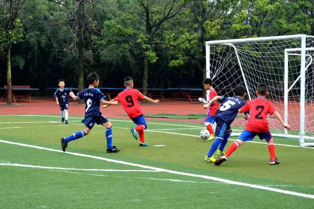 清华教授培养普通人,清华教授教足球