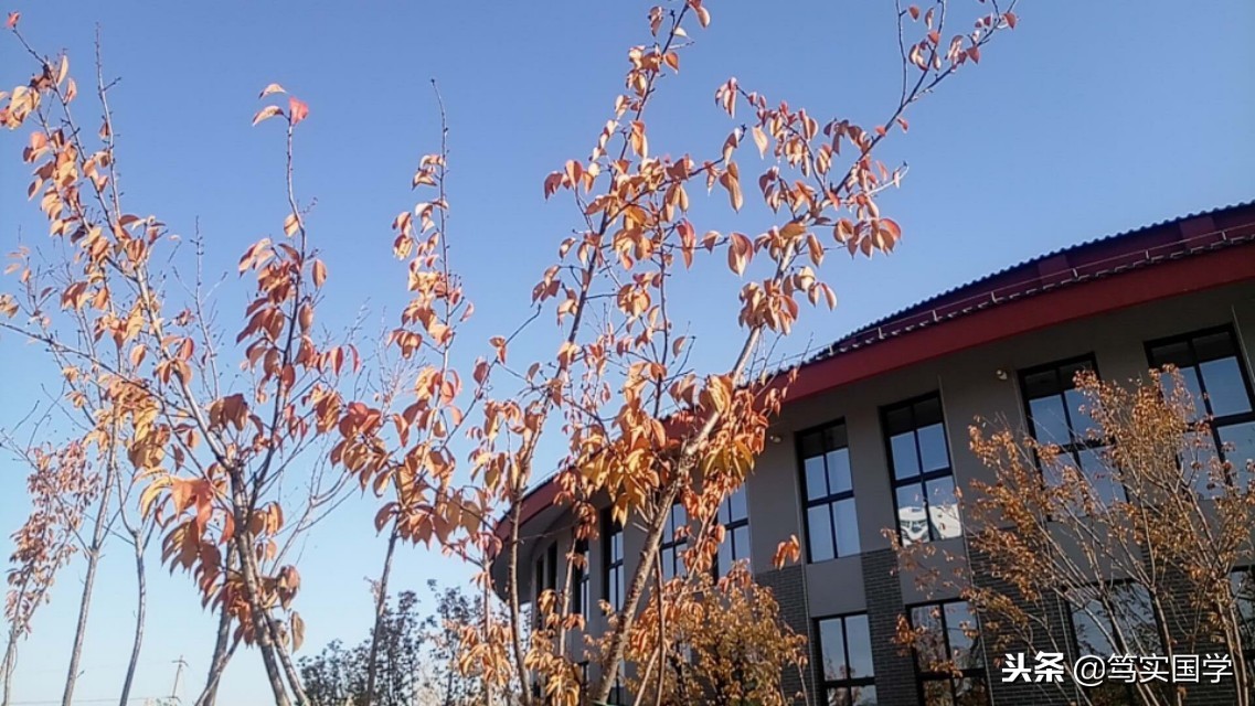 邢福和作品大全,邢福和简介